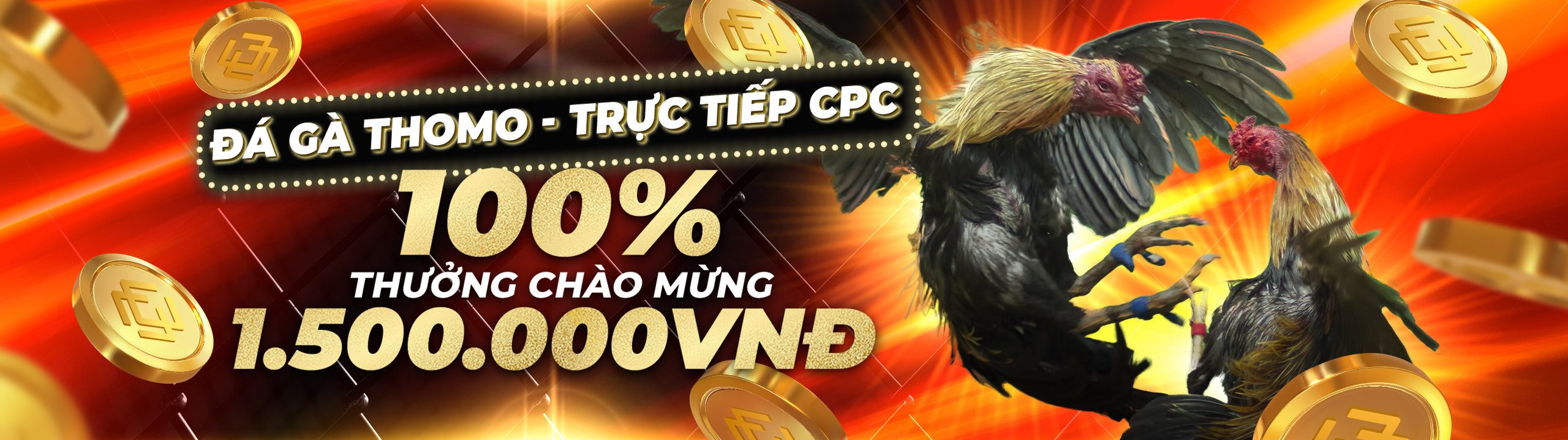 Đá gà casino trực tuyến đẳng cấp