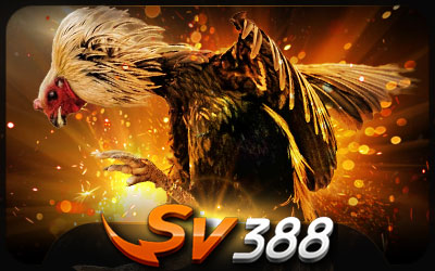 sv388