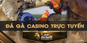 Đá gà casino trực tuyến