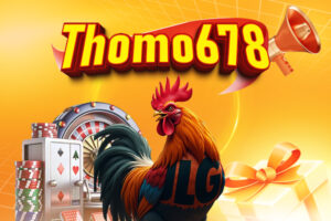 thomo678